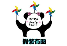 Cravatar 在 WordPress 6.8 无法显示 QQ 头像-WP小菜鸟