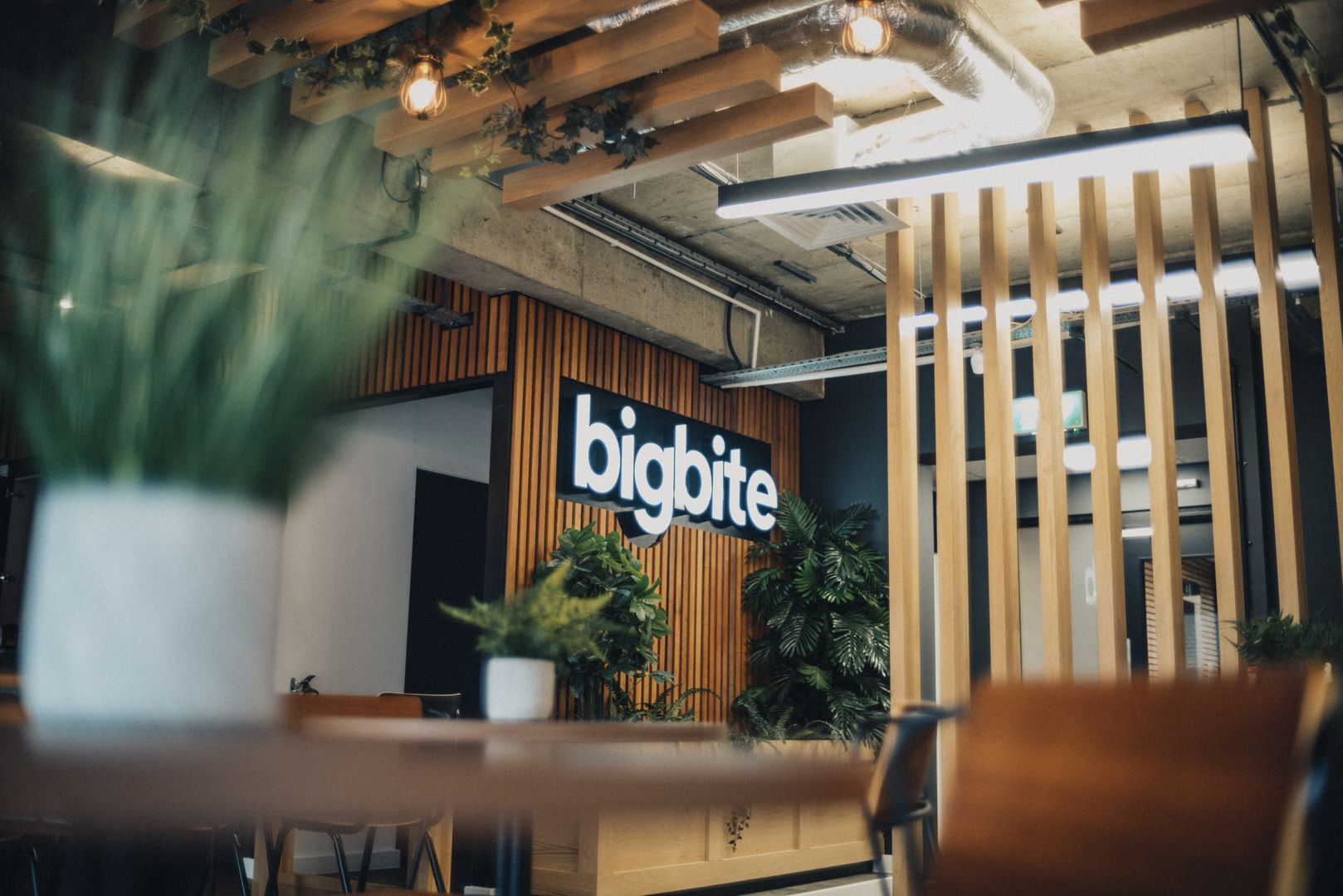 WP Engine 收购英国企业级代理机构 Big Bite插图